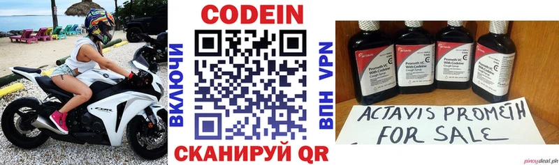 ОМГ ОМГ ССЫЛКА  магазин продажи наркотиков  Москва  Кодеин Purple Drank 
