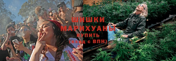 СК Горнозаводск