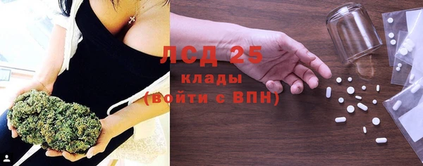 СК Горнозаводск