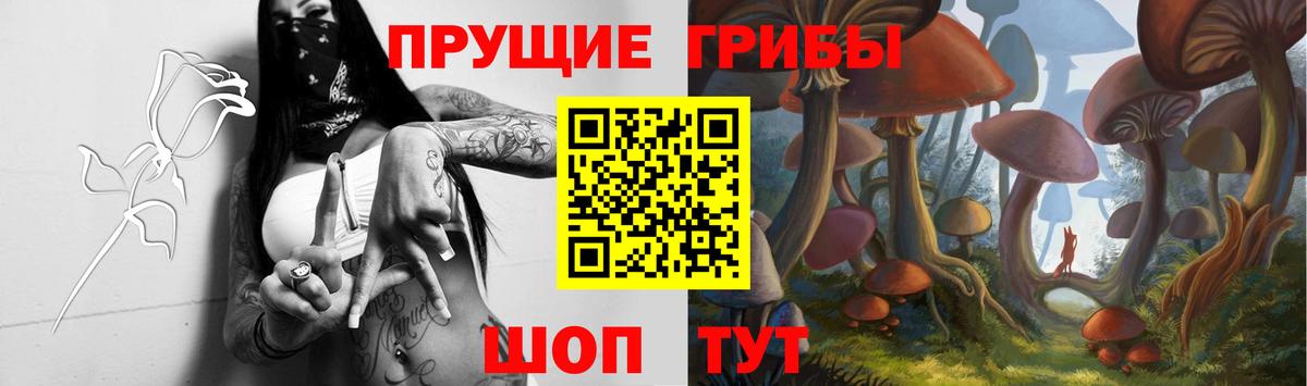Псилоцибиновые грибы прущие грибы  Галлюциногенные грибы MAGIC MUSHROOMS  Вход с VPN  Москва 